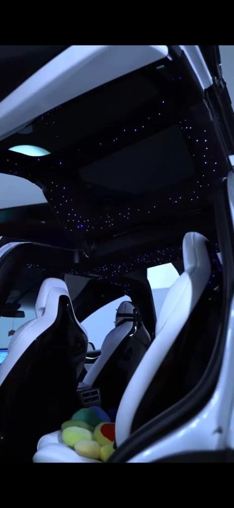 Tesla Model X interior with blue starlight headliner and Falcon Wing doors